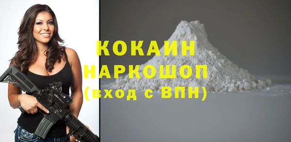 хмурый Бородино