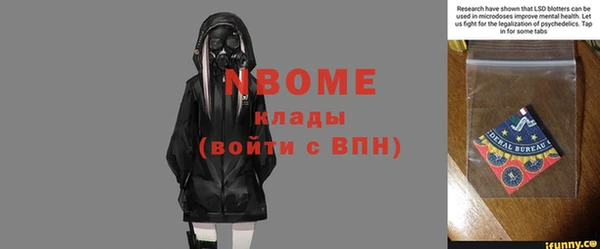 хмурый Бородино