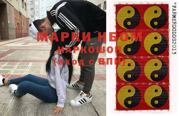 хмурый Бородино