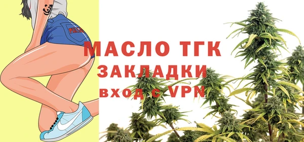 хмурый Бородино