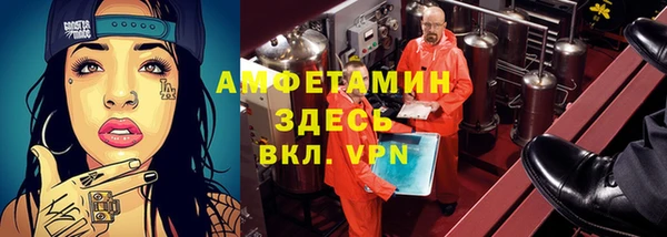 хмурый Бородино