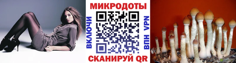 как найти закладки  Гусиноозёрск  Галлюциногенные грибы MAGIC MUSHROOMS 